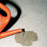pour water